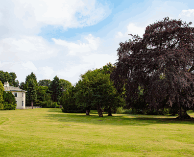 Resized imagery for website - 2026-04-02T125431.449