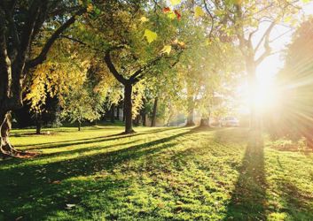 Highfields-Park.jpg